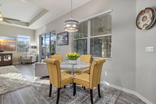 dining space featuring a raised ceiling, baseboards, and wood finished floors