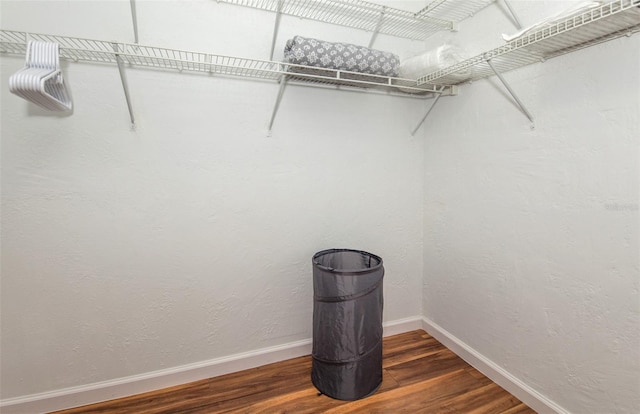 spacious closet with dark wood-type flooring