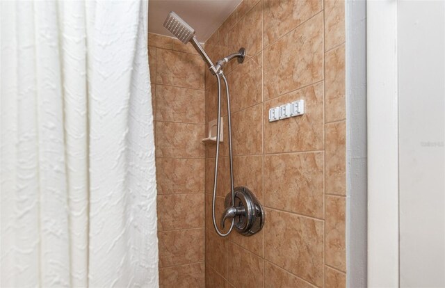 room details with walk in shower