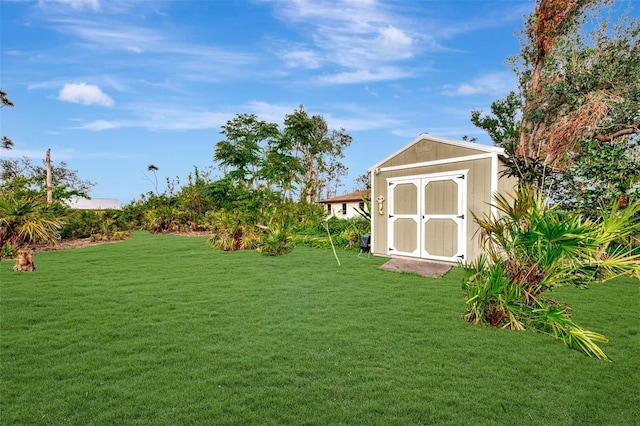 view of yard featuring a storage shed