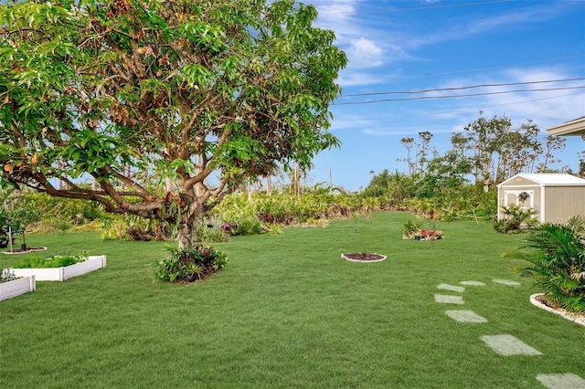 view of yard featuring a shed