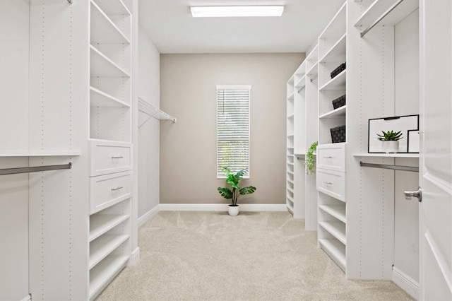 walk in closet featuring light carpet