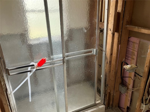 bathroom featuring a shower with shower door