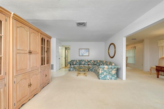 carpeted living room with a textured ceiling