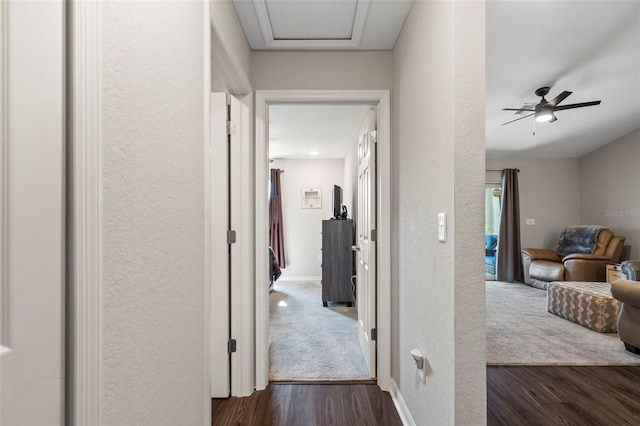 hall featuring dark hardwood / wood-style floors