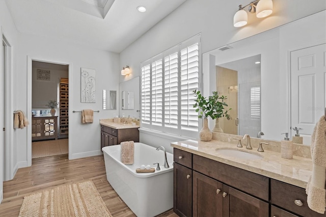 bathroom featuring vanity and separate shower and tub