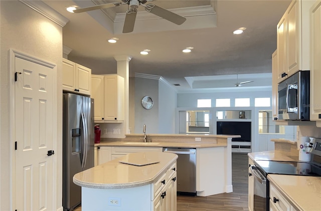 kitchen with a raised ceiling, sink, appliances with stainless steel finishes, white cabinetry, and a center island