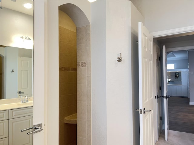 bathroom with a shower and vanity