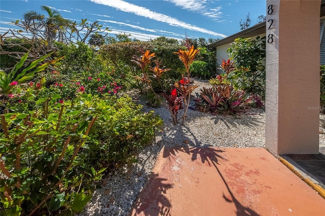 view of yard featuring a patio