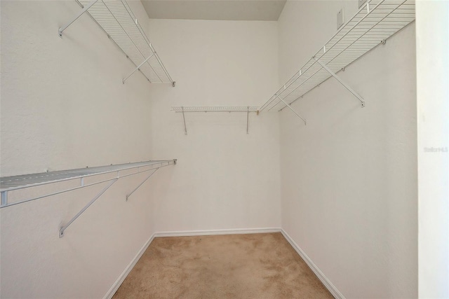 walk in closet with light carpet