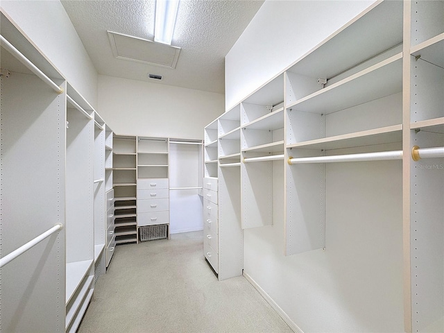 walk in closet with carpet floors