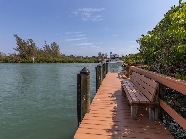 dock area with a water view