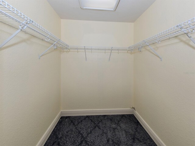 spacious closet featuring carpet flooring