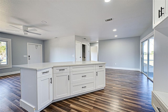 kitchen featuring white cabinetry, plenty of natural light, and dark wood-type flooring