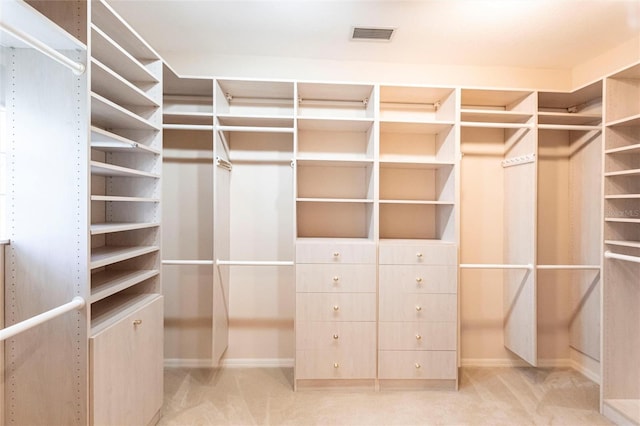 spacious closet featuring carpet floors and visible vents