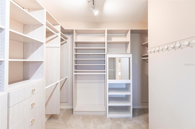 walk in closet featuring carpet floors