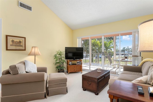 living room featuring lofted ceiling, carpet floors, and a textured ceiling