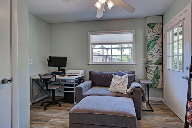 office featuring ceiling fan and light hardwood / wood-style flooring