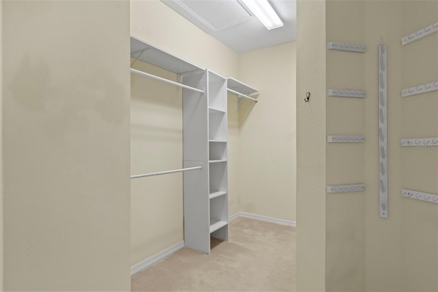 walk in closet with light colored carpet