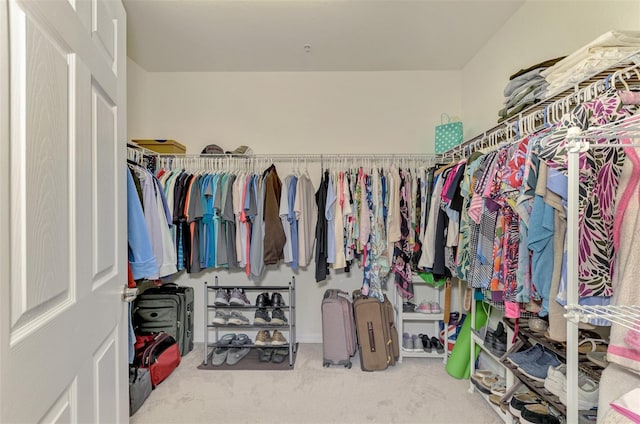 spacious closet featuring carpet