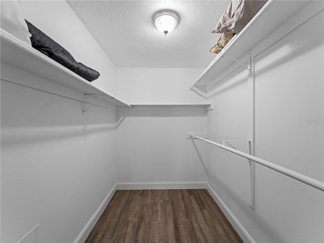 walk in closet with dark wood-type flooring