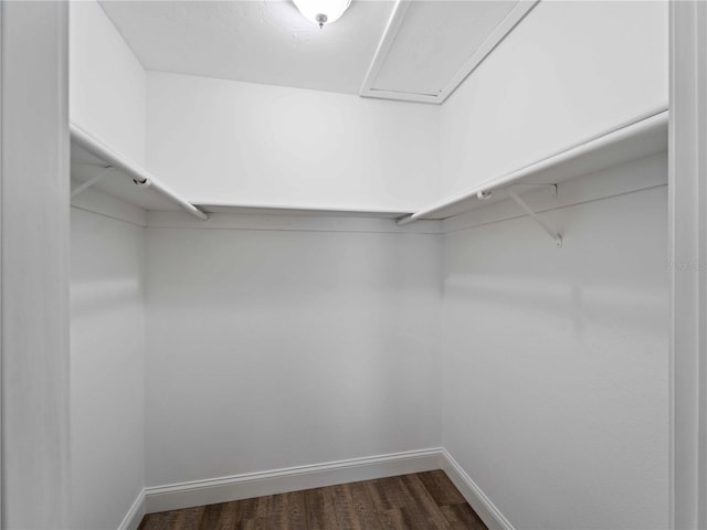 spacious closet with dark wood-type flooring