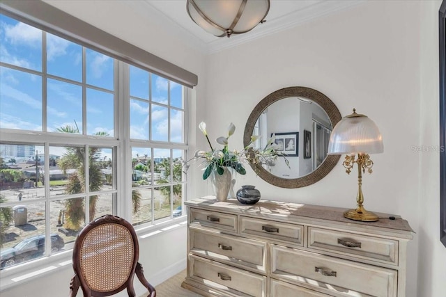 room details featuring crown molding