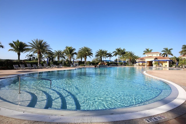 view of swimming pool with a patio