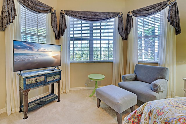 bedroom with multiple windows and carpet flooring