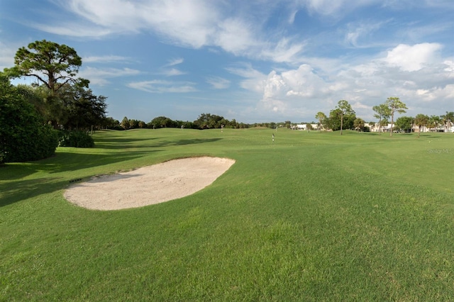 view of home's community with a yard