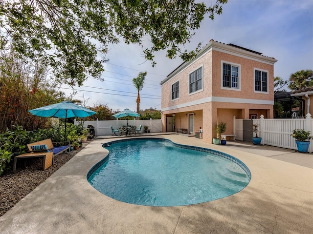 view of swimming pool featuring a patio area