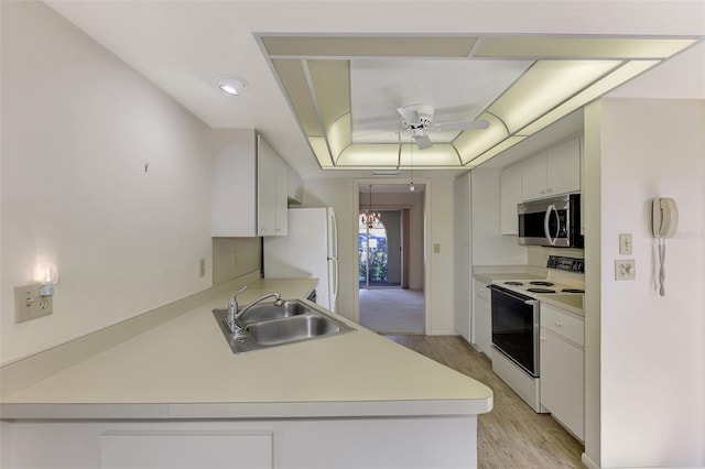 kitchen with sink, white appliances, light hardwood / wood-style flooring, white cabinets, and ceiling fan with notable chandelier