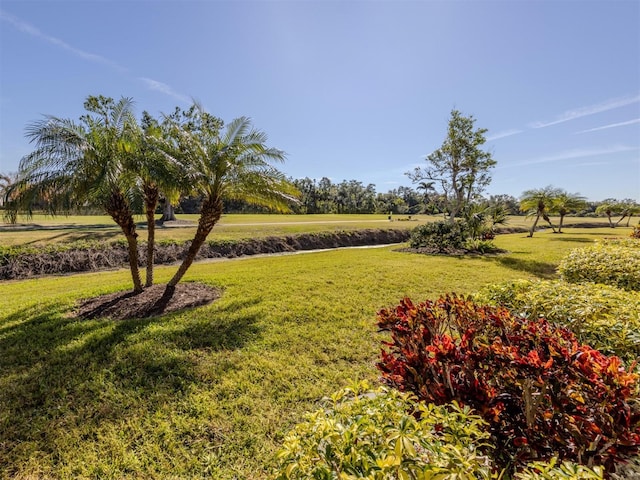 view of yard featuring a rural view