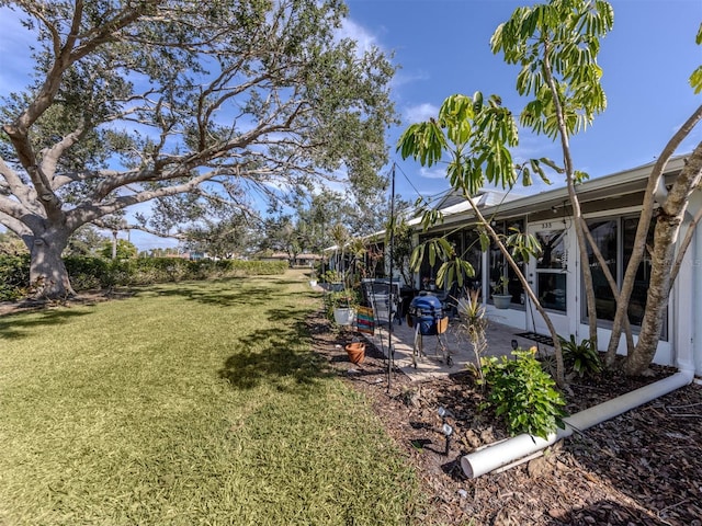 view of yard featuring a patio area