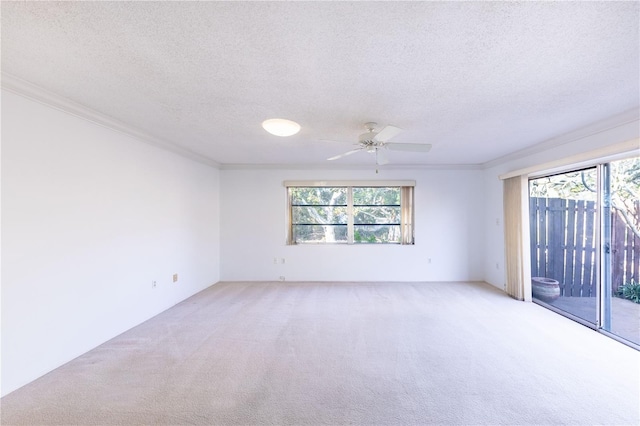 carpeted spare room featuring ceiling fan, ornamental molding, and a textured ceiling