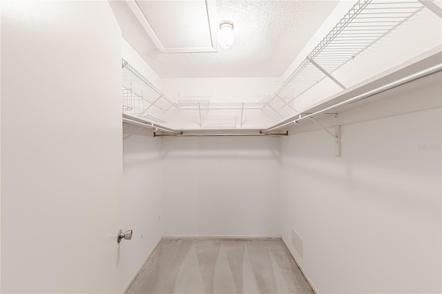 spacious closet with light colored carpet