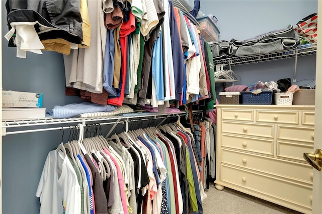 walk in closet featuring light carpet