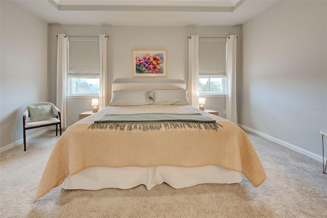 bedroom featuring multiple windows, a raised ceiling, and carpet flooring