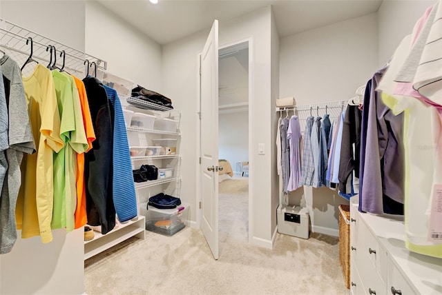 spacious closet with light carpet