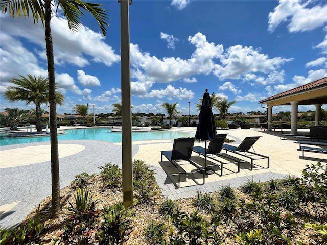 view of swimming pool with a patio