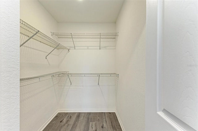 walk in closet with hardwood / wood-style flooring