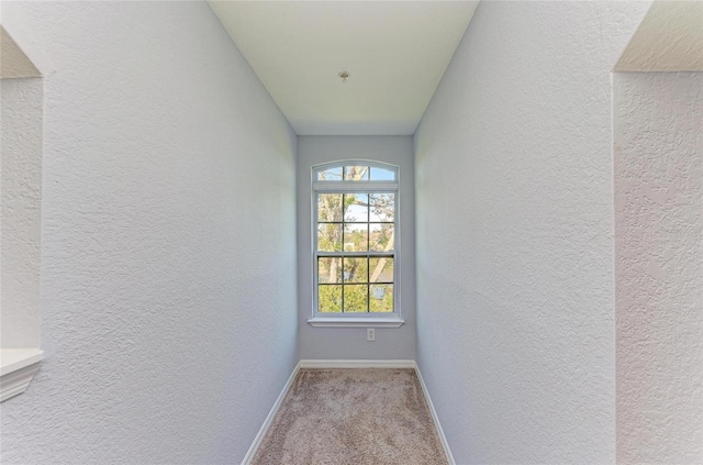 interior space with light carpet