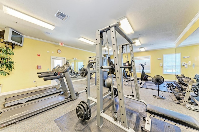 workout area with crown molding, a textured ceiling, and a healthy amount of sunlight