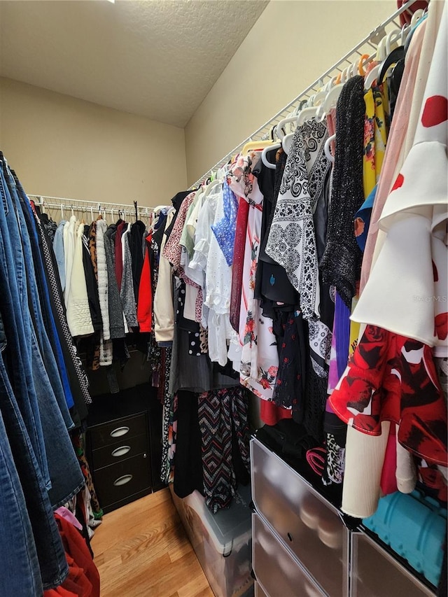 spacious closet with wood-type flooring