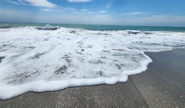 property view of water featuring a beach view