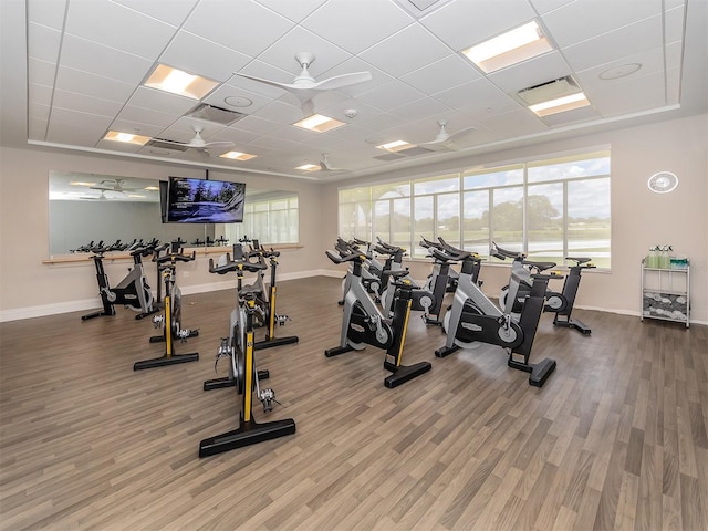 exercise room featuring a paneled ceiling, a healthy amount of sunlight, hardwood / wood-style floors, and ceiling fan