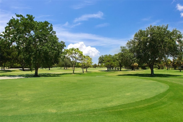 view of community with a yard