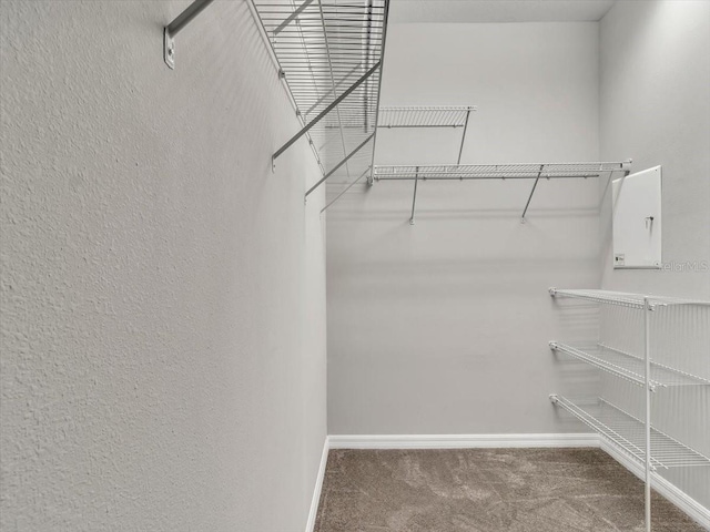 spacious closet with carpet flooring and electric panel