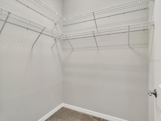 spacious closet with carpet flooring