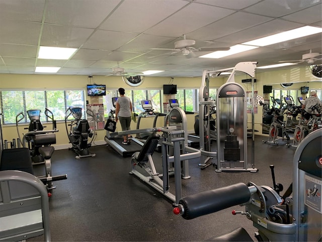 workout area featuring a paneled ceiling and ceiling fan